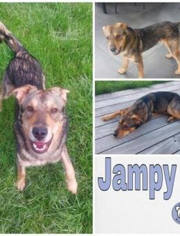 Jampy * und ab ins Herz seiner Menschen - Duisburg