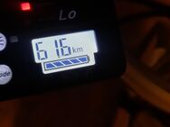 27 Zoll E-Bike Pedelec Damenfahrrad Herrenfahrrad Fahrrad Flyer - Dresden