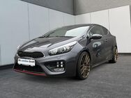 Kia pro cee'd, 1.6 T-GDi pro_cee d GT-Track M T 1 6, Jahr 2018 - Potsdam