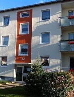 + 3 Zimmer mit Balkon + - Salzgitter
