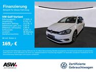 VW Golf Variant, 1.0 TSI IQ DRIVE v h, Jahr 2020 - Sinsheim