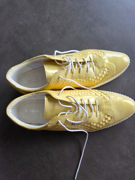 Modische Schnürschuhe von GEOX - Aschaffenburg