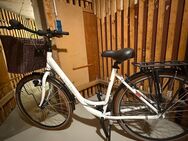 Ortler Damen City Rad, 28 Zoll, 7 Gänge - Augsburg