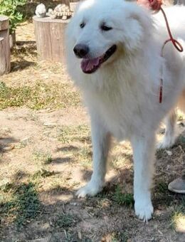 Fiocco unsere Flocke - Marienfließ