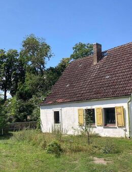 Charmantes Haus auf sonnigem Grundstück in der Uckermark. See und Bahnhof fußläufig. - Oberuckersee