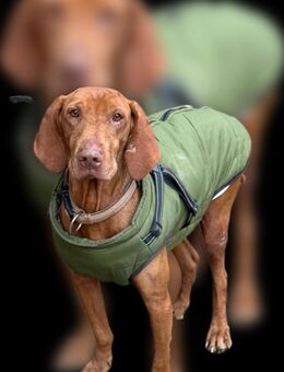 Ich heiße Regeancy ...mit Video - Frankfurt (Main)