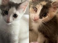 Feather und Cindy - Grevenbroich