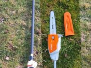 Stihl HTA 66 Hochentaster 240cm mieten leihen Astsäge Akku Baumsäge - Fridolfing