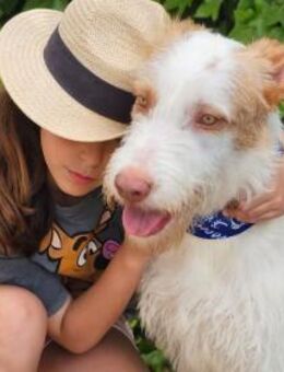 KAIRI - eine besondere Hündin - sucht... - Kempen