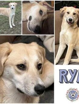 RYA * zartes freundliches Mädchen - Duisburg