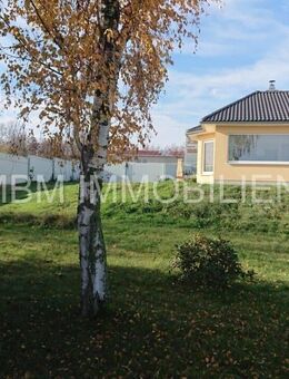 Wohnen auf einer Ebene - Neukirch (Sachsen)