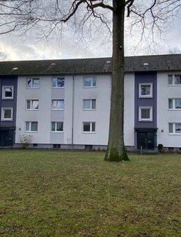 Schöne, helle Eigentumswohnung, 3-ZKBB im Erdgeschoss (provisionsfrei) - Bielefeld