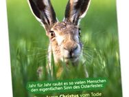 Christliche Osterkarte Feldhase im Gras- Maxicard lang - Postkarten Ostern - Wilhelmshaven Zentrum