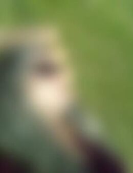 Ich*** - Ehrenberg (Rhön)