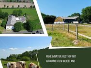 Ruhe & Natur: Resthof mit arrondiertem Weideland - Nordhastedt