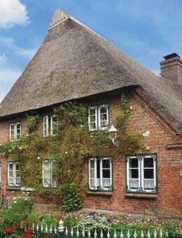 NEU! Rarität! Schöner Wohnen unter Reet! Modernisierter historischer Resthof mit unverbaubarem Panorama-Weitblick und Traumgarten in 1a top Lage! - Horst (Holstein)