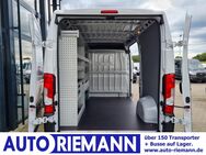 Opel Movano, Kasten Cargo L2H2 APP Regaleinbauten, Jahr 2024 - Cloppenburg