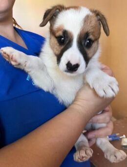 Paula ist so hübsch - Donaueschingen