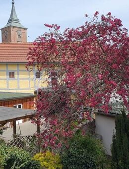 Mehr als nur ein Gebäude: Ein Zuhause für Ihre Visionen - Lenzen (Elbe)