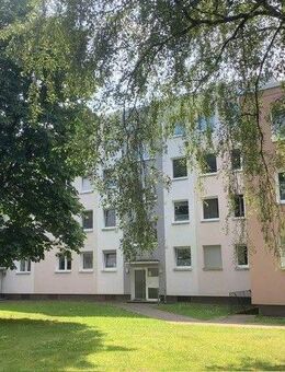 3-Zimmer-Wohnung mit Balkon in Baumheide zu vermieten - Bielefeld