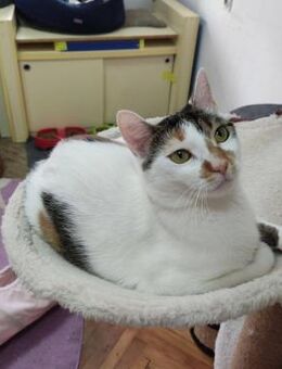 Kleines Sonnenscheinchen IVY ♥️ - München