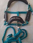 Neuer Halfter + Führstrick. Gr. S in 12099
