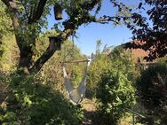 Wunderschöne möblierte Wohnung mit Balkon & Garten ideal für eine Familie oder WG - Stuttgart