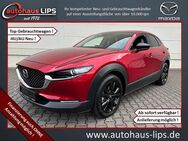 Mazda CX-30 SkyActiv-G 150 Homura | LED | HUD | - Bad Kreuznach