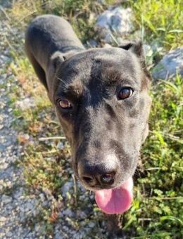 Goldige Godina: sozial,aktiv,lebensfroh - Hamburg