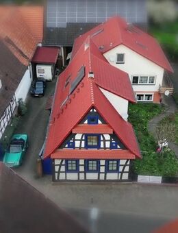 3 in 1: zwei große Wohnhäuser + Einliegerwohnung - Pferdehof und Schwimmteich (MIT OBJEKTFILM) - Winden (Landkreis Germersheim)