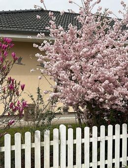 Traumhafter Bungalow in Zarrendorf bei Stralsund zu verkaufen - Zarrendorf