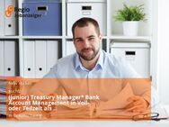 (Junior) Treasury Manager* Bank Account Management in Voll- oder Teilzeit als Elternzeitvertretung - Braunschweig