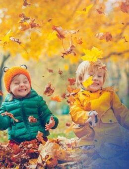 Bien-Zenker: Ihr individuell gestaltetes Zuhause in Pirna - Pirna