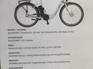 Fahrrad, E-Bike, Pedelec - Würzburg