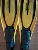 Tauchflossen in sehr gutem Zustand in 40699