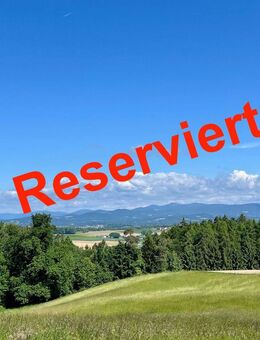 15.412 m2 - Einzigartige Hofstelle zwischen Iggensbach und Winzer -- TOP LAGE -- - Winzer