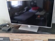 Panasonic Fernseher - Darmstadt Eberstadt