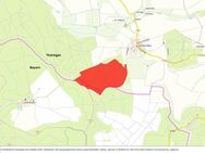 Waldgenossenschaft mit ca. 83 ha in der thüringischen Rhön - Rhönblick