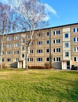 viel Wohnfläche, enormes Potential, prima Lage - Wohnanlage steht zum Verkauf - Ballenstedt
