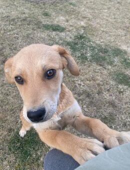 💙 𝐒𝐚𝐦𝐦𝐲 - Markkleeberg