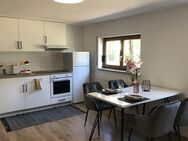 Gemütliche, renovierte Einzimmerwohnung mit EBK in Ratshausen - Ratshausen