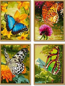 Schipper Malen nach Zahlen Meisterklasse Quattro - Schmetterling, Made in Germany