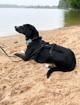 Dua wartet auf ihre eigene Familie - Schwabach