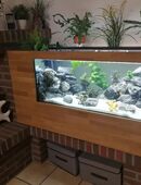Aquarium 100x40x40 in 59759
