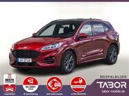 Ford Kuga, 2.5 FHEV 190 eCVT Tit eHk WinterP, Jahr 2024 - Kehl