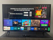 LG Fernseher 139 cm (55 Zoll) - Witten