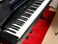 Yamaha Klavier mit gewichteten Tasten - Euskirchen