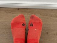 5 Tage getragene Socken beim Malern - Zetel