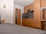 1-Zimmer City Apartment mit Wlan, TV, Dusche/WC, Küche, Waschmaschine, Trockner - Stuttgart