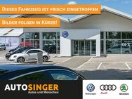 Skoda Fabia, 1.0 TSI Drive HZG, Jahr 2022 - Kaufbeuren